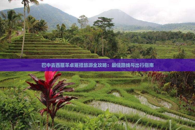 巴中去西藏羊卓雍措旅游
