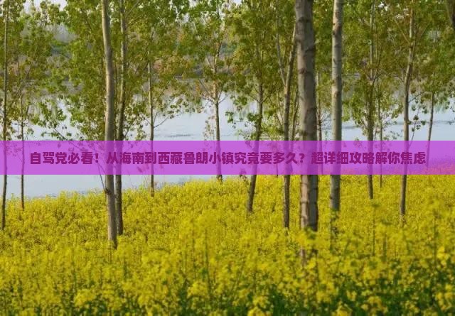 海南到西藏鲁朗小镇攻略 海南到西藏鲁朗小镇攻略