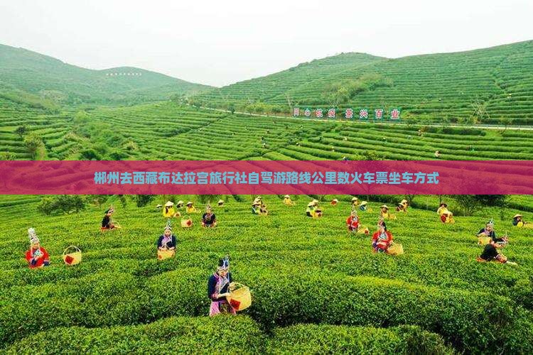 郴州去西藏布达拉宫旅行社