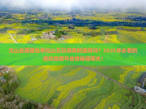 文山去西藏色季拉山五日游
