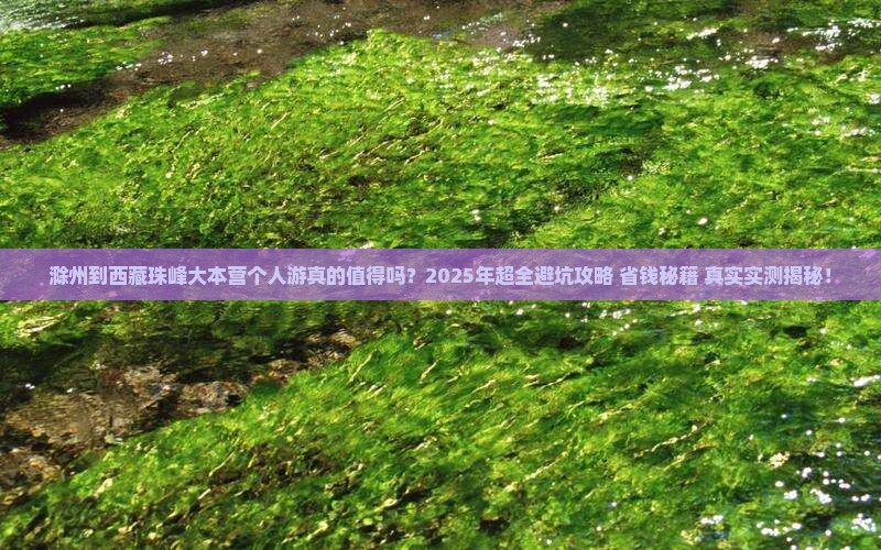滁州到西藏珠峰大本营个人游