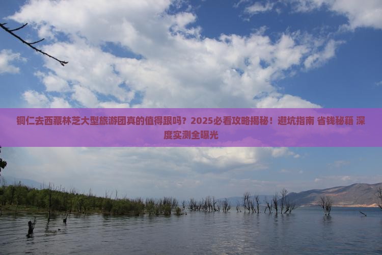 铜仁去西藏林芝大型旅游团