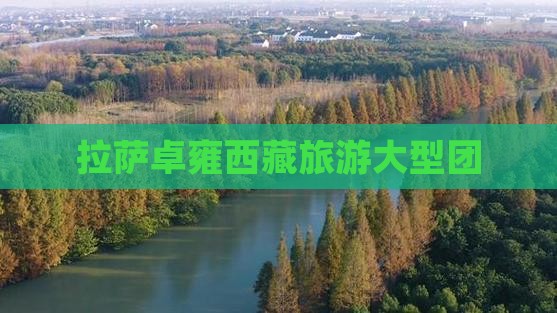 拉萨到西藏羊卓雍措大型旅游团