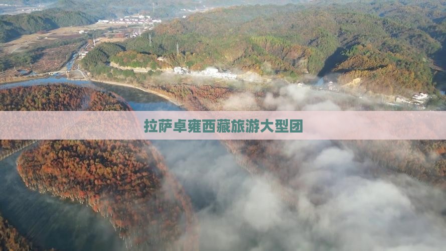 拉萨到西藏羊卓雍措大型旅游团
