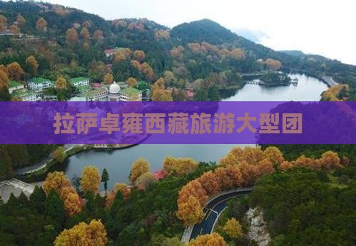 拉萨到西藏羊卓雍措大型旅游团