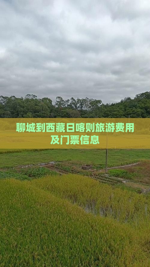 聊城到西藏日喀则门票