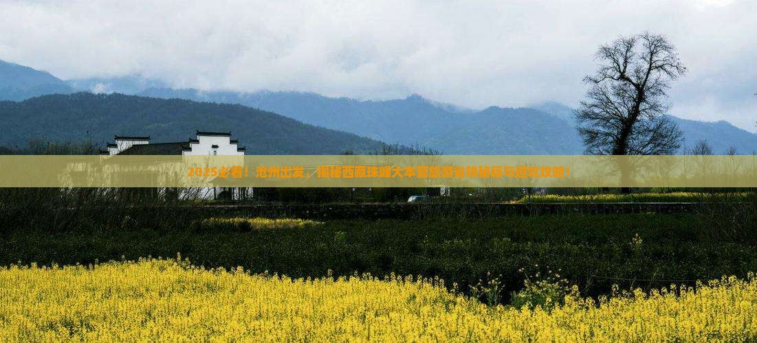 沧州到西藏珠峰大本营旅游
