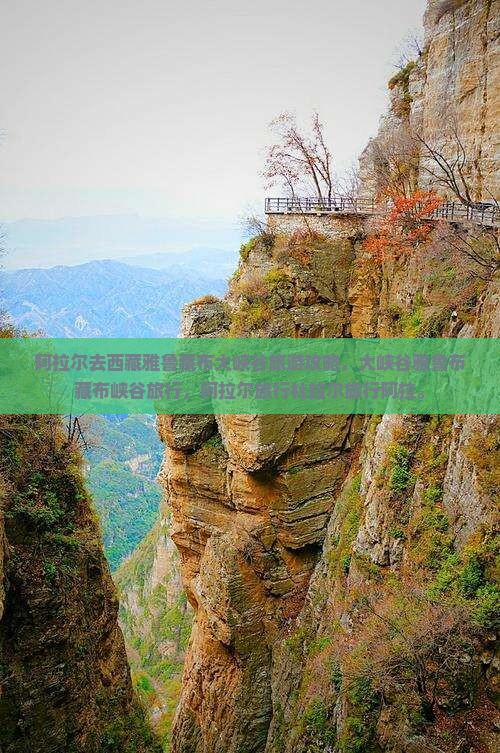 阿拉尔去西藏雅鲁藏布大峡谷旅行社