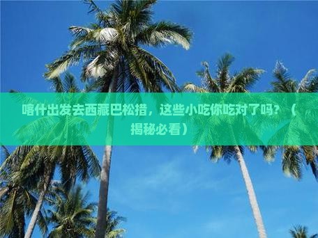 喀什去西藏巴松措旅游小吃