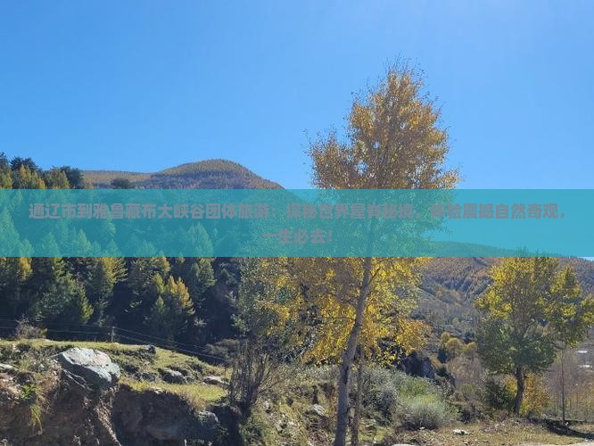 通辽市到西藏雅鲁藏布大峡谷团体旅游