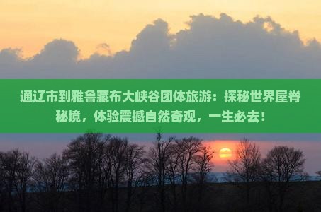 通辽市到西藏雅鲁藏布大峡谷团体旅游