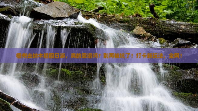 梧州去西藏纳木措四日游