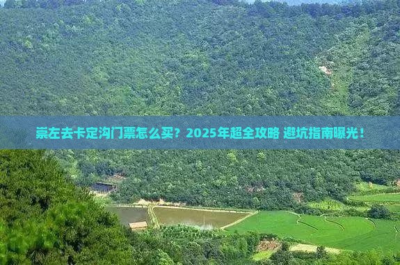崇左去西藏卡定沟门票