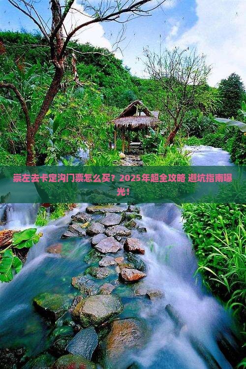 崇左去西藏卡定沟门票