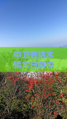 中卫去西藏纳木措六日游