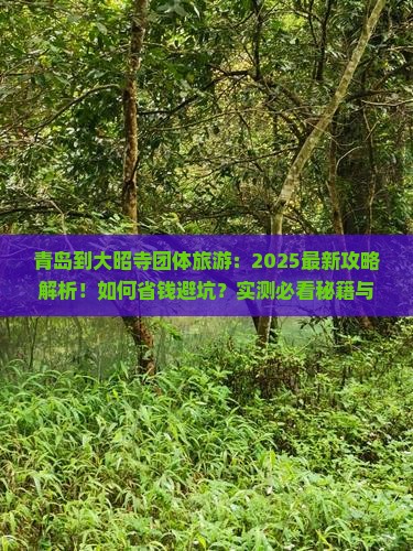 青岛到西藏大昭寺团体旅游