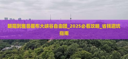 朝阳到西藏雅鲁藏布大峡谷自由团