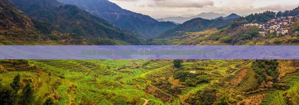 吐鲁番去西藏鲁朗小镇旅游小吃