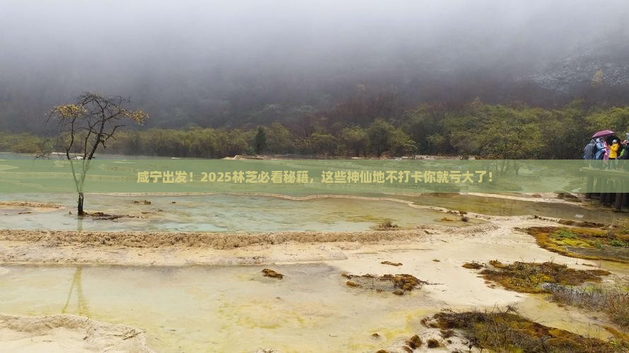 咸宁去西藏林芝必去地