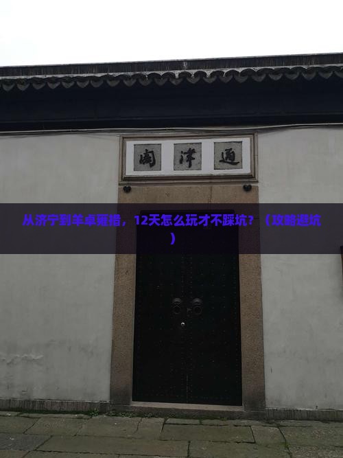 济宁到西藏羊卓雍措景点