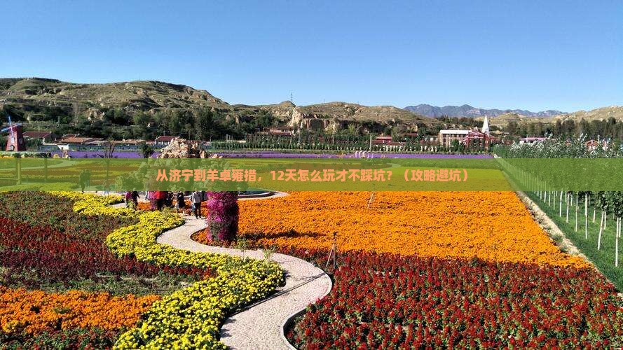 济宁到西藏羊卓雍措景点