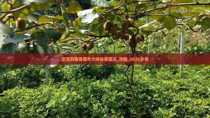 定西到西藏雅鲁藏布大峡谷哪里玩