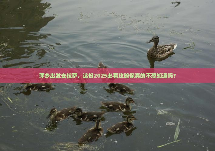 萍乡去西藏拉萨团体旅游
