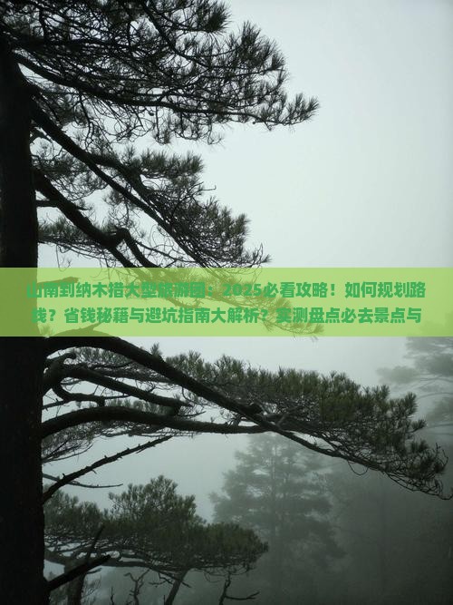 山南到西藏纳木措大型旅游团