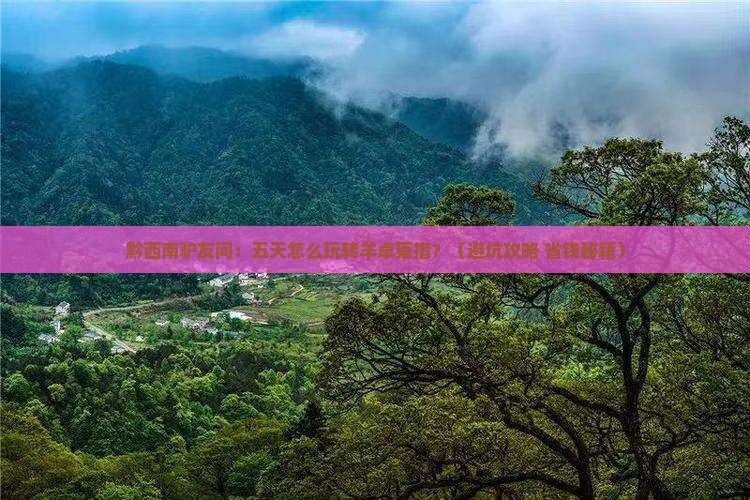 黔西南到西藏羊卓雍措五日游