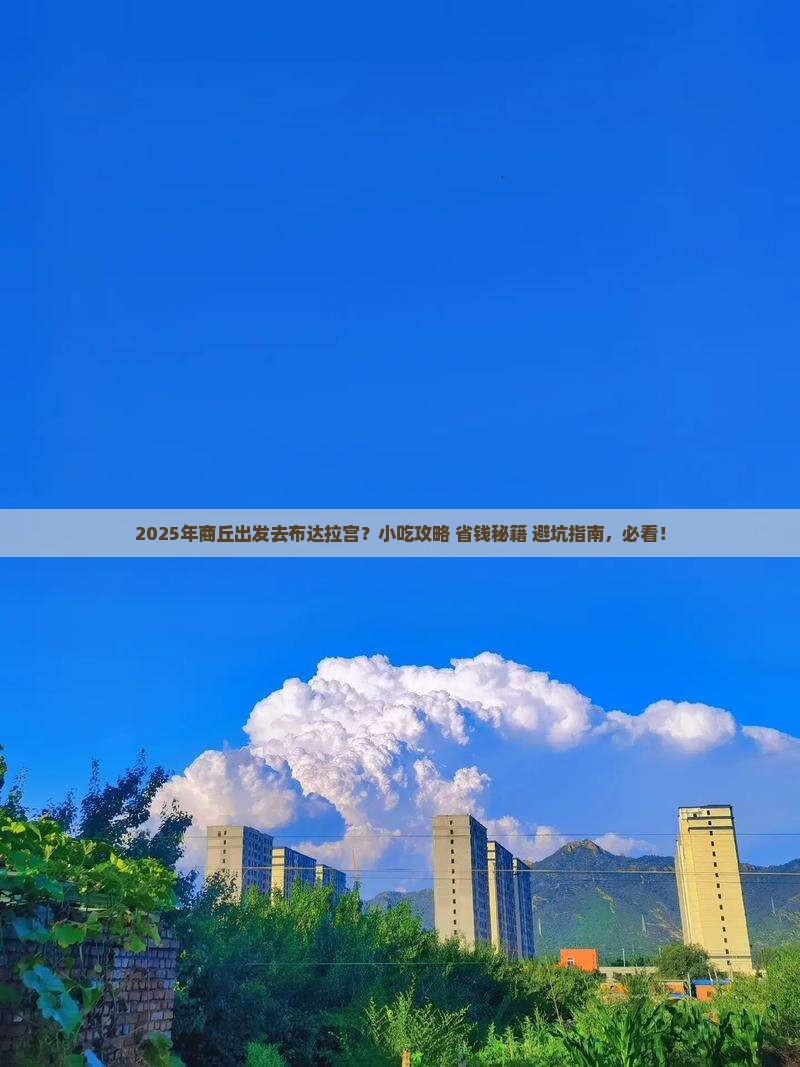 商丘到西藏布达拉宫旅游小吃
