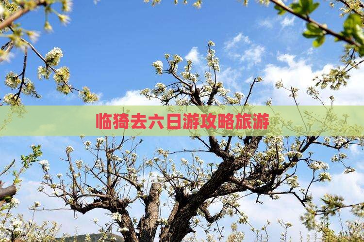 临猗去西藏六日游