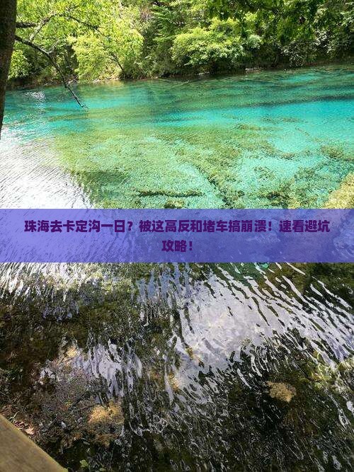 珠海去西藏卡定沟一日