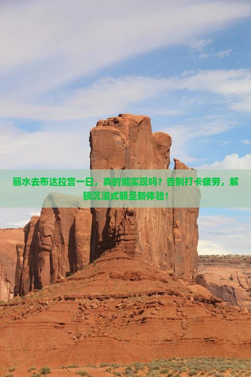 丽水去西藏布达拉宫一日
