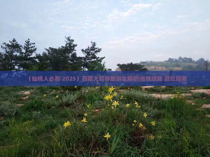 仙桃到西藏大昭寺景点