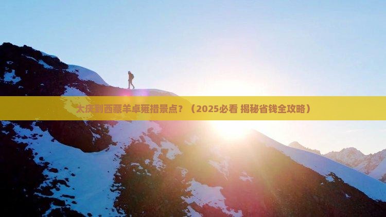 大庆到西藏羊卓雍措景点