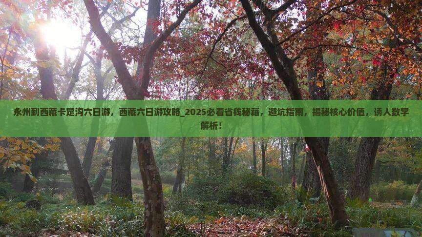 永州到西藏卡定沟六日游