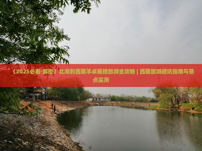 北海去西藏羊卓雍措团体旅游