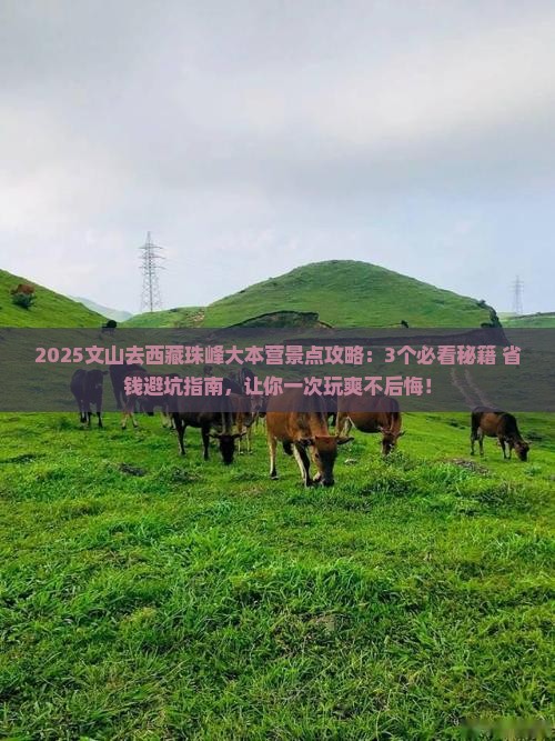 文山去西藏珠峰大本营景点