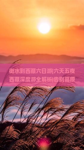 衡水到西藏六日游