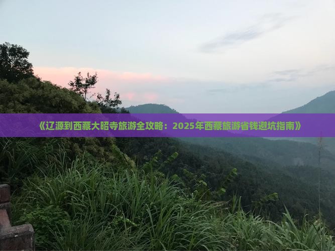 辽源去西藏大昭寺旅游