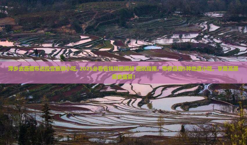 萍乡去西藏布达拉宫旅游小吃