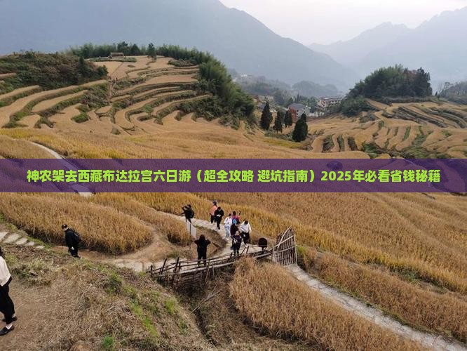 神农架去西藏布达拉宫六日游