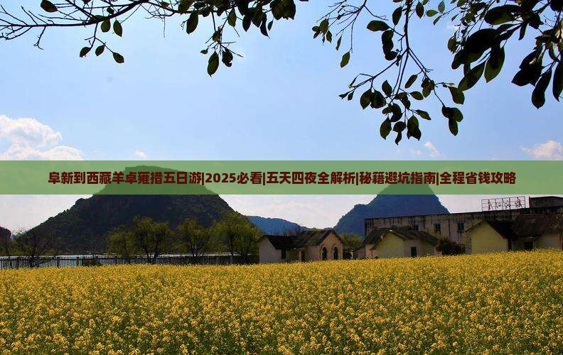 阜新去西藏羊卓雍措五日游