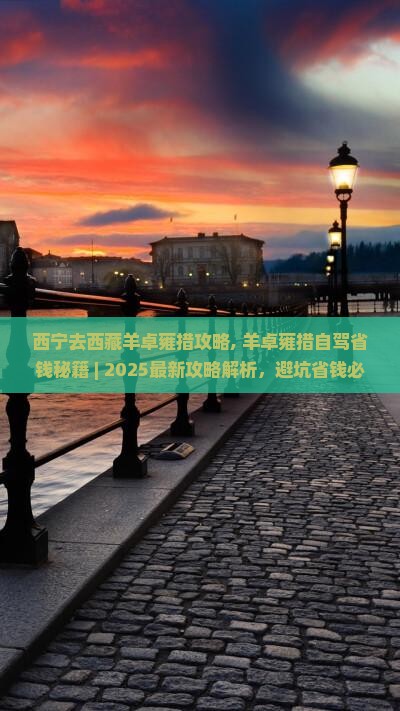 西宁去西藏羊卓雍措攻略