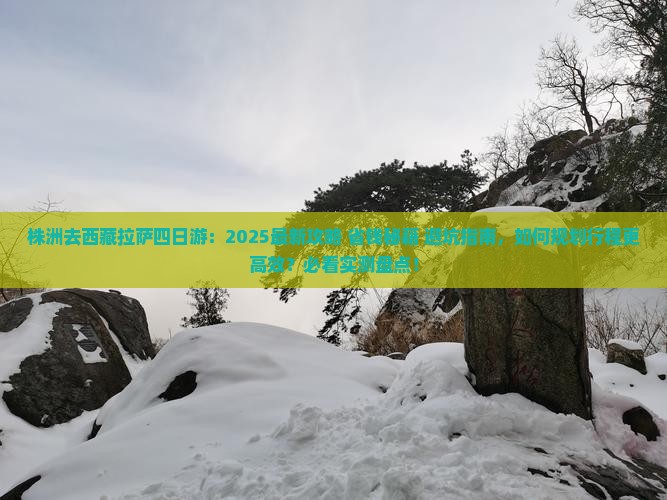株洲去西藏拉萨四日游