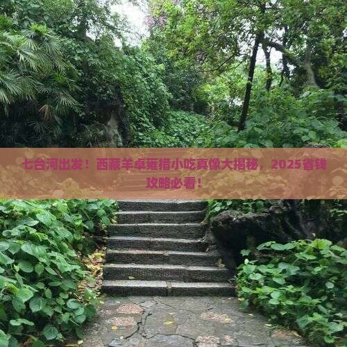 七台河到西藏羊卓雍措旅游小吃