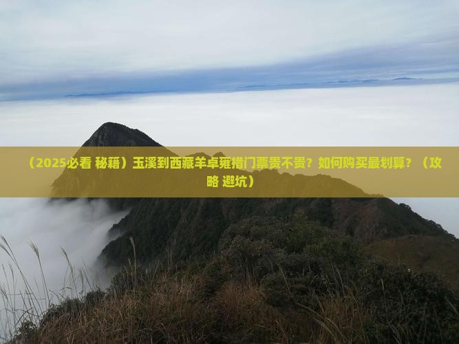 玉溪到西藏羊卓雍措门票