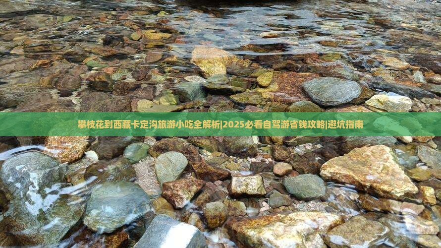 攀枝花到西藏卡定沟旅游小吃