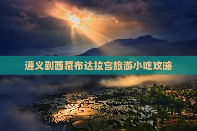 遵义到西藏布达拉宫旅游小吃