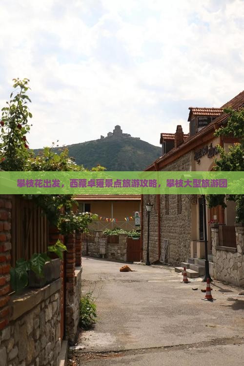 攀枝花去西藏羊卓雍措大型旅游团